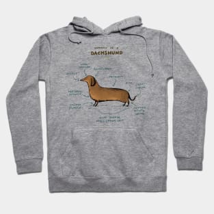 Anatomy of a Dachshund Hoodie